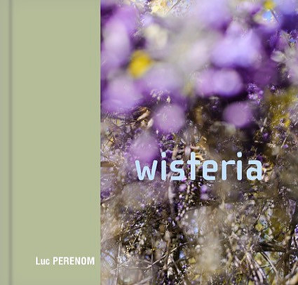 018 - wisteria - 2019