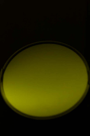 20250302-02