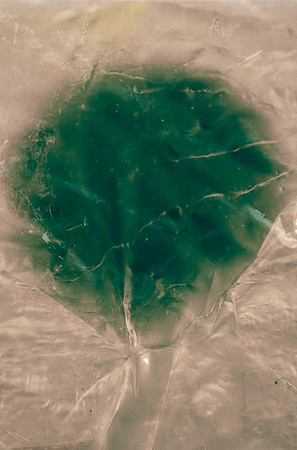 20250525